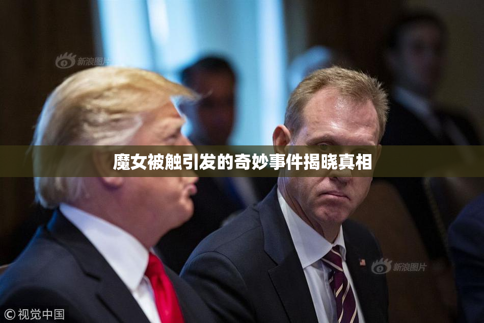 魔女被触引发的奇妙事件揭晓真相