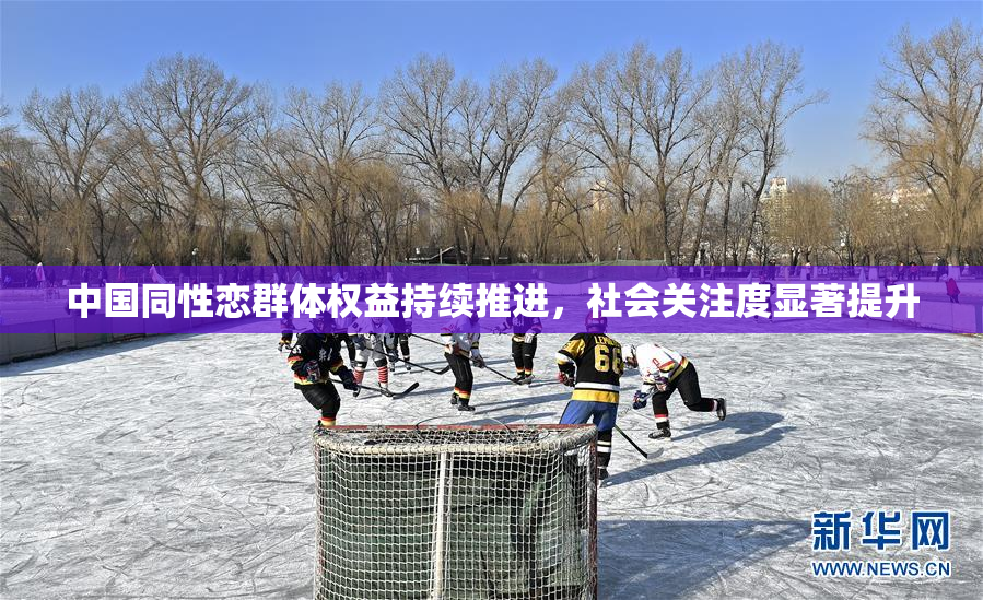 中国同性恋群体权益持续推进，社会关注度显著提升