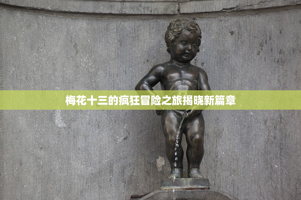梅花十三的疯狂冒险之旅揭晓新篇章