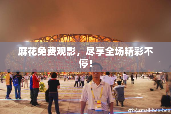 麻花免费观影，尽享全场精彩不停！