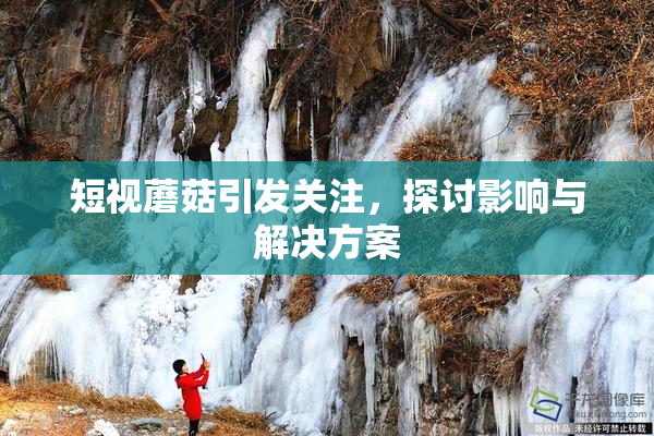 短视蘑菇引发关注，探讨影响与解决方案