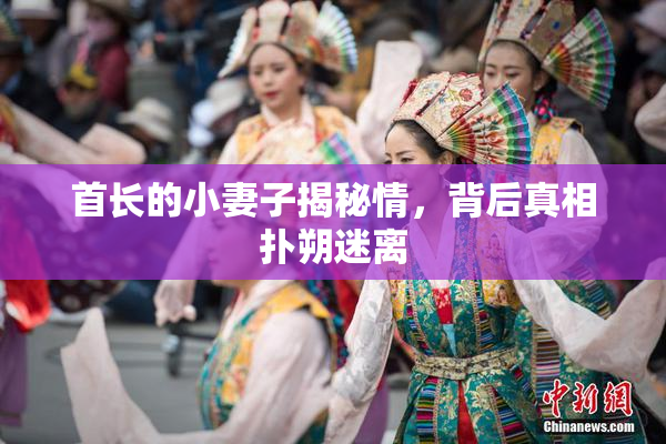 首长的小妻子揭秘情，背后真相扑朔迷离