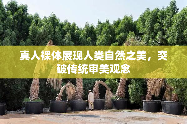 真人裸体展现人类自然之美，突破传统审美观念