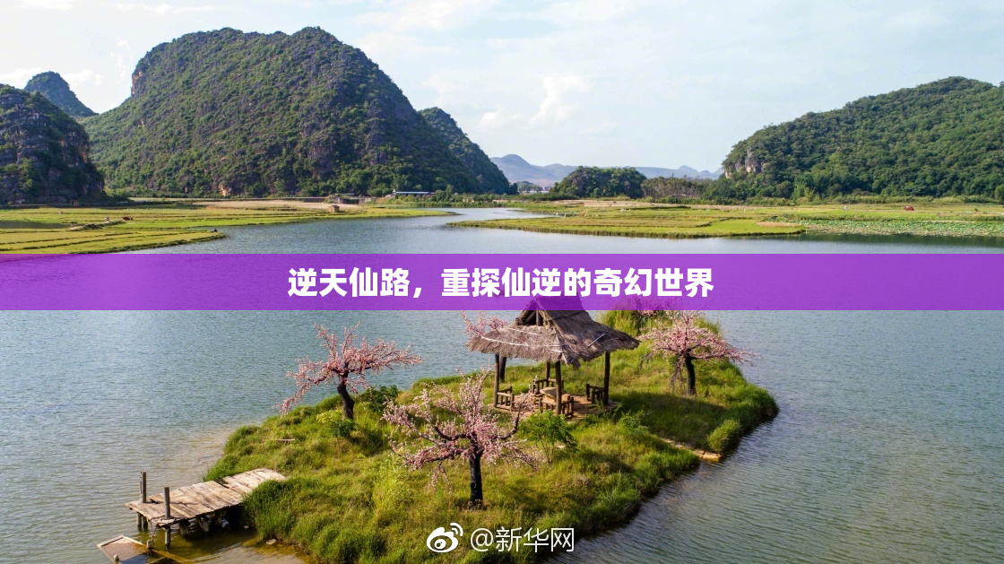 逆天仙路，重探仙逆的奇幻世界