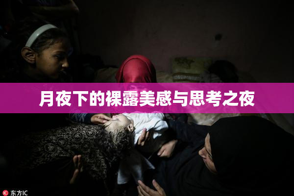 月夜下的裸露美感与思考之夜