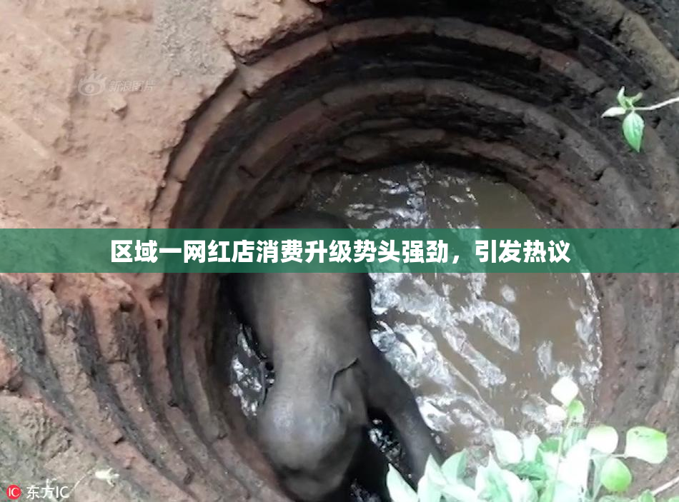区域一网红店消费升级势头强劲，引发热议