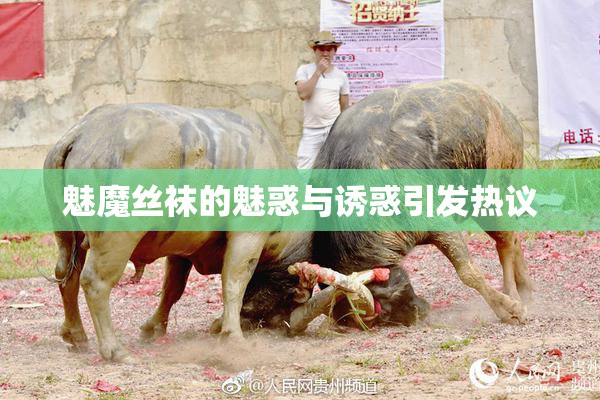 魅魔丝袜的魅惑与诱惑引发热议
