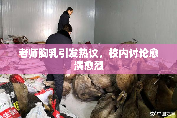 老师胸乳引发热议，校内讨论愈演愈烈