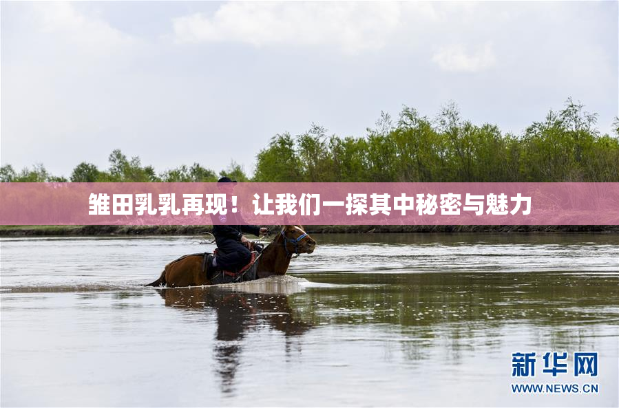 雏田乳乳再现！让我们一探其中秘密与魅力