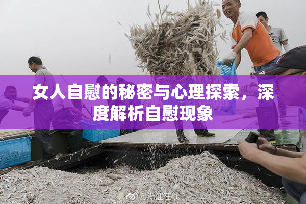 女人自慰的秘密与心理探索，深度解析自慰现象