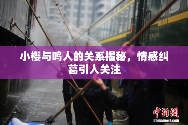 小樱与鸣人的关系揭秘，情感纠葛引人关注