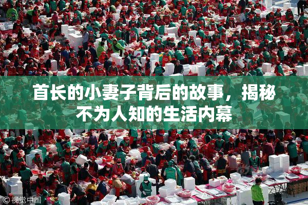 首长的小妻子背后的故事，揭秘不为人知的生活内幕