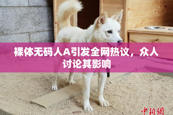裸体无码人A引发全网热议，众人讨论其影响