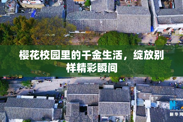 樱花校园里的千金生活，绽放别样精彩瞬间