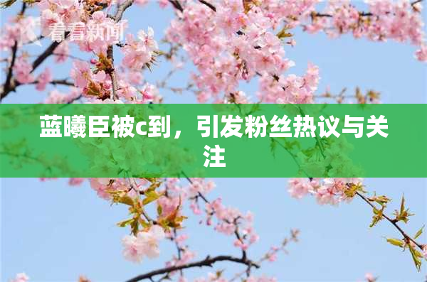 蓝曦臣被c到，引发粉丝热议与关注
