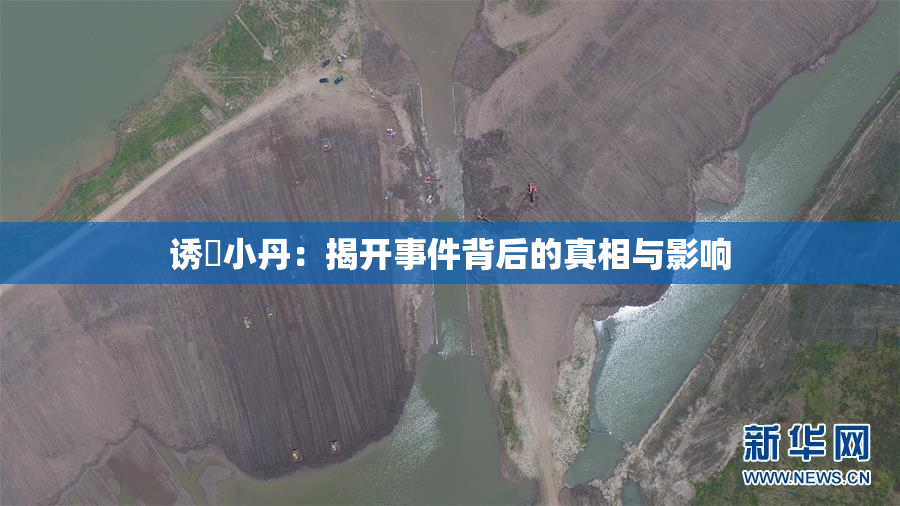 诱奷小丹：揭开事件背后的真相与影响
