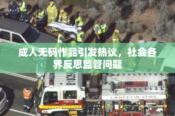 成人无码作品引发热议，社会各界反思监管问题