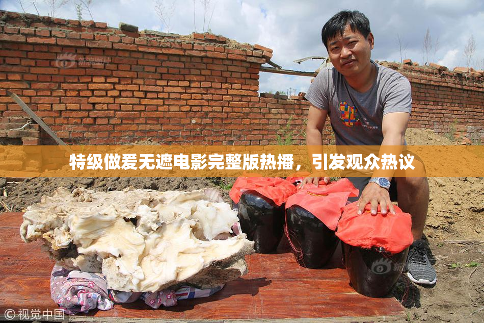 特级做爰无遮电影完整版热播，引发观众热议