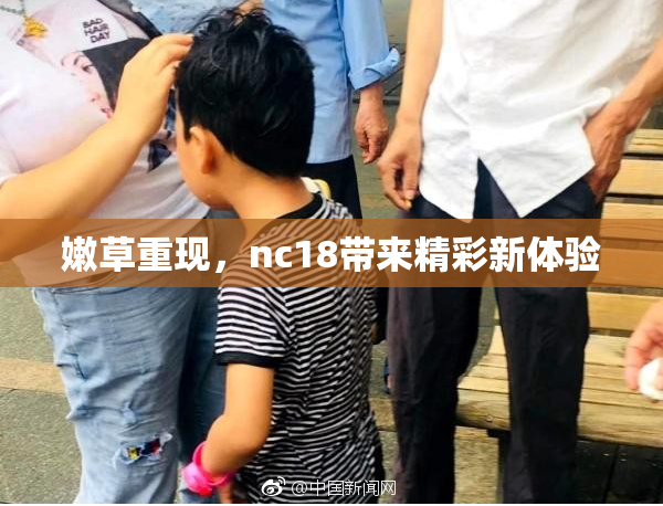 嫩草重现，nc18带来精彩新体验