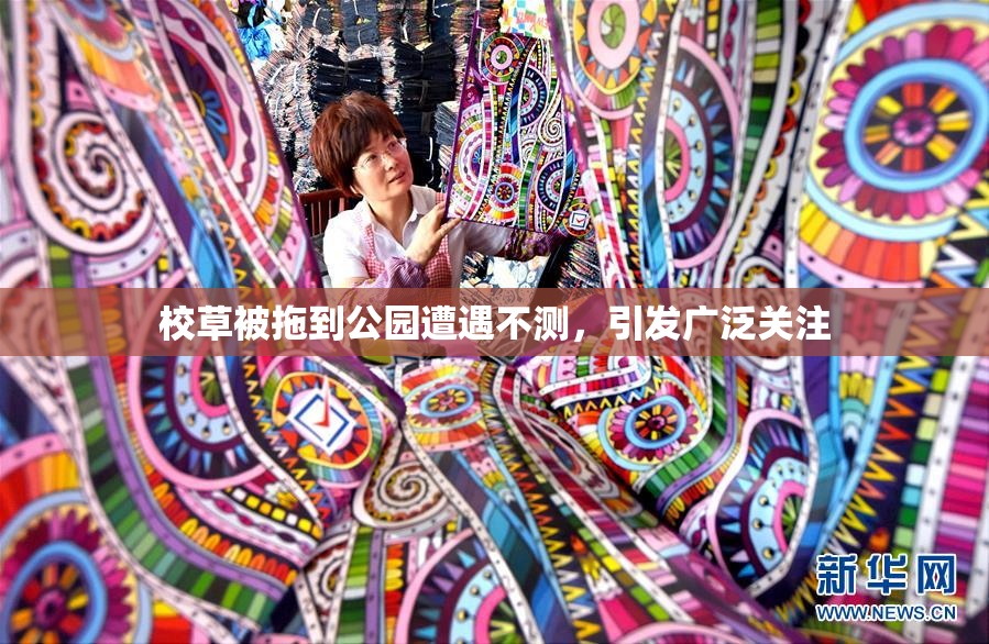 校草被拖到公园遭遇不测，引发广泛关注