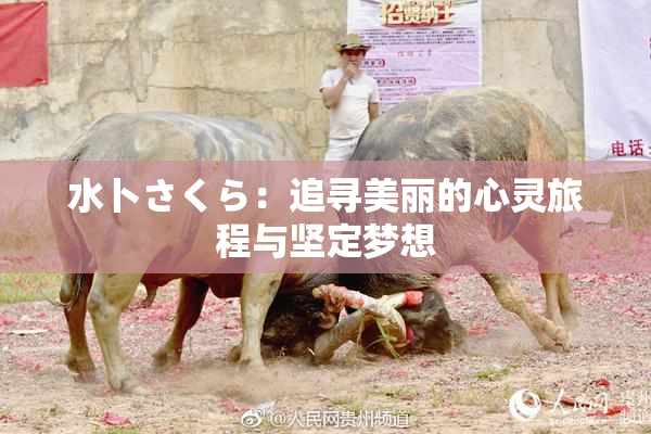 水卜さくら：追寻美丽的心灵旅程与坚定梦想