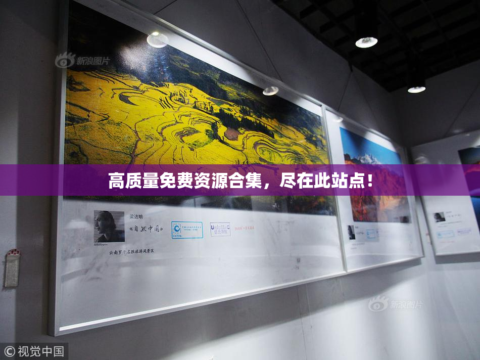 高质量免费资源合集，尽在此站点！