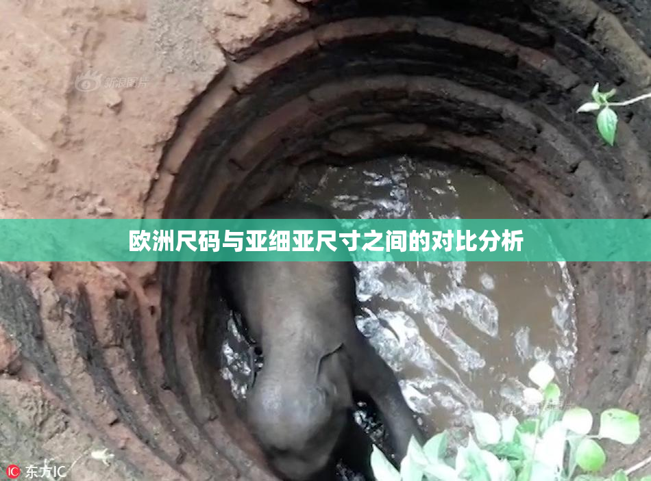 欧洲尺码与亚细亚尺寸之间的对比分析