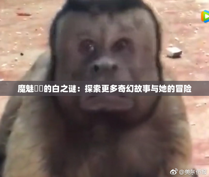 魔魅妺妺的白之谜：探索更多奇幻故事与她的冒险