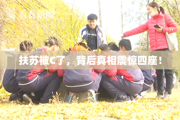 扶苏被C了，背后真相震惊四座！
