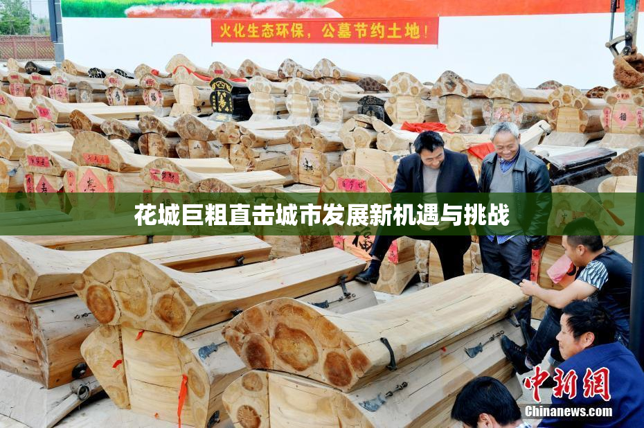 花城巨粗直击城市发展新机遇与挑战