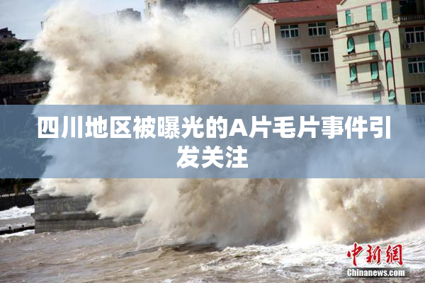 四川地区被曝光的A片毛片事件引发关注