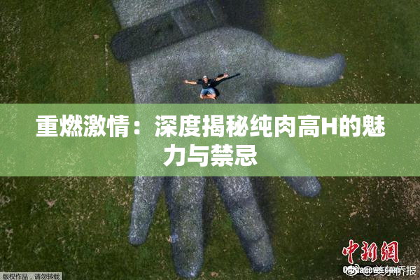 重燃激情：深度揭秘纯肉高H的魅力与禁忌