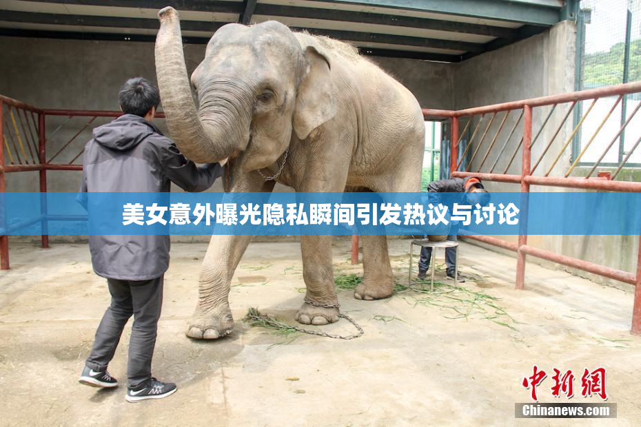 美女意外曝光隐私瞬间引发热议与讨论