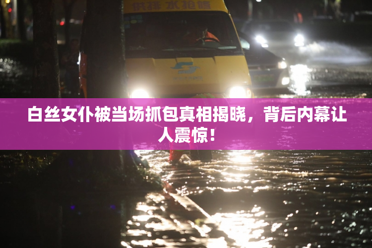 白丝女仆被当场抓包真相揭晓，背后内幕让人震惊！