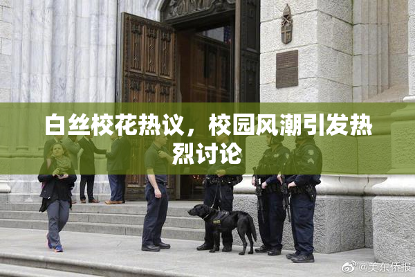 白丝校花热议，校园风潮引发热烈讨论