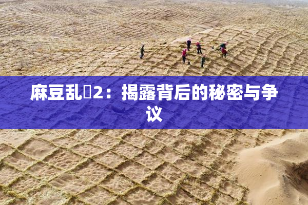麻豆乱婬2：揭露背后的秘密与争议