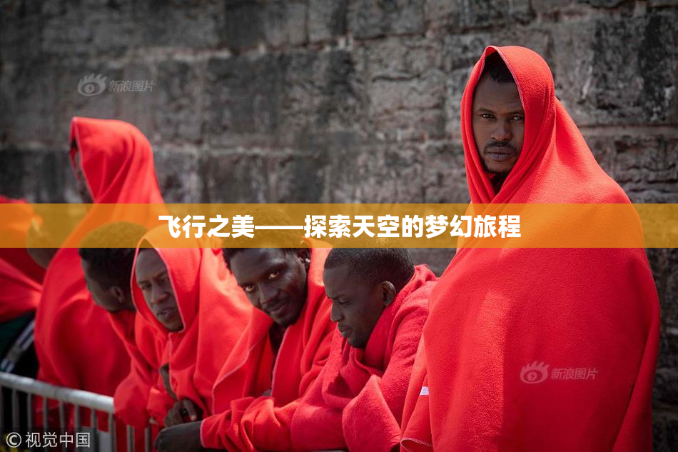 飞行之美——探索天空的梦幻旅程