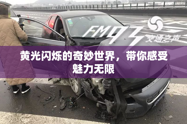黄光闪烁的奇妙世界，带你感受魅力无限