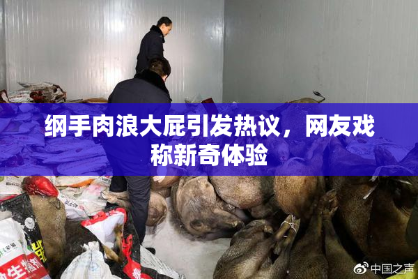 纲手肉浪大屁引发热议，网友戏称新奇体验