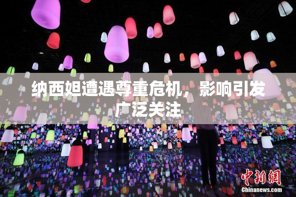 纳西妲遭遇尊重危机，影响引发广泛关注