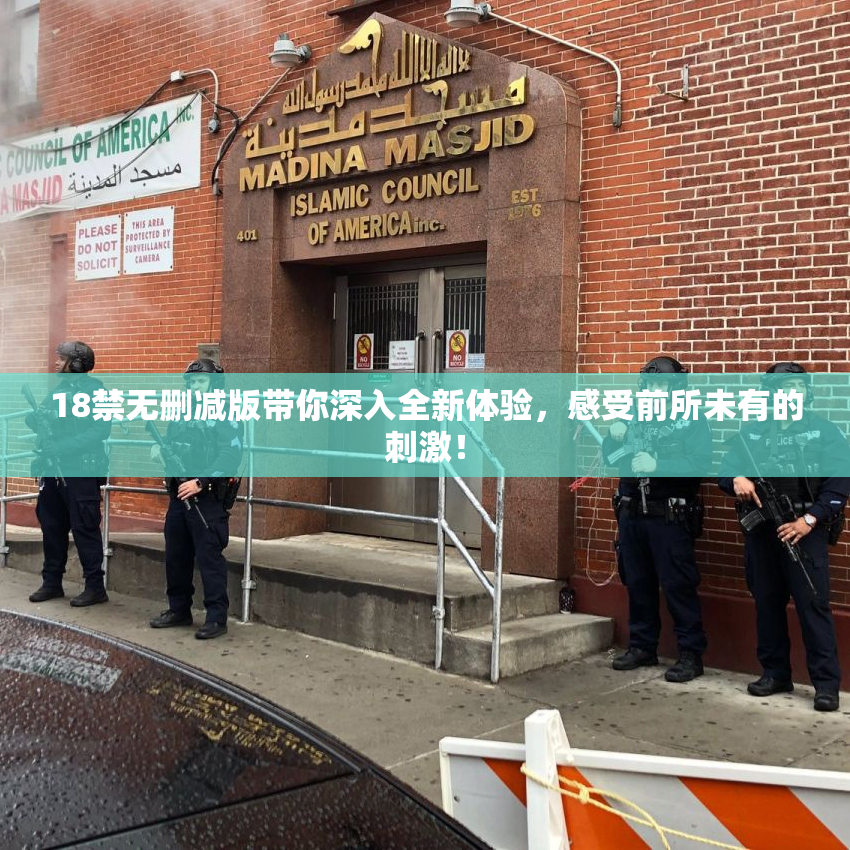 18禁无删减版带你深入全新体验，感受前所未有的刺激！