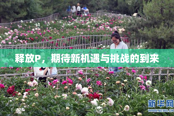 释放P，期待新机遇与挑战的到来