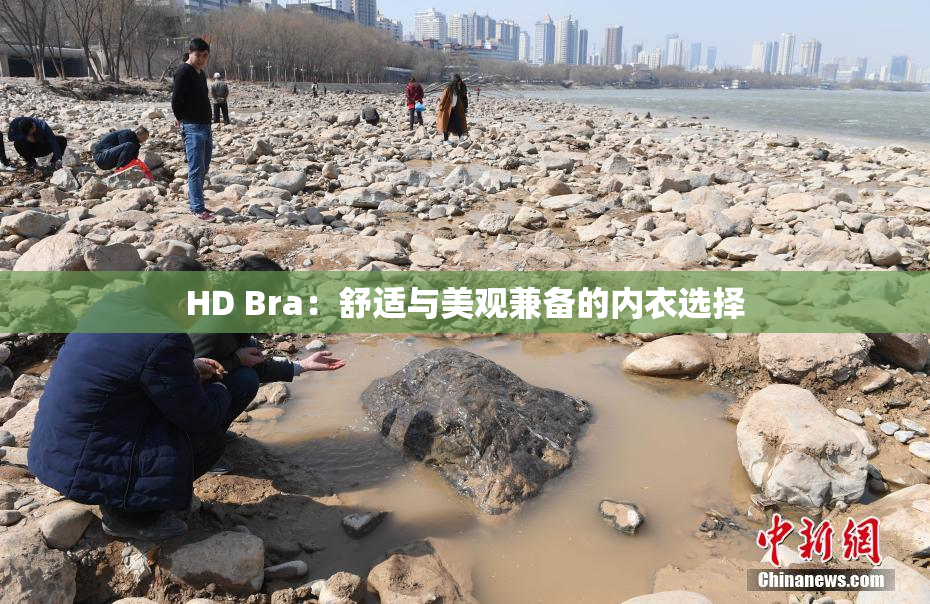 HD Bra：舒适与美观兼备的内衣选择