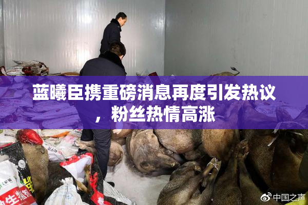 蓝曦臣携重磅消息再度引发热议，粉丝热情高涨