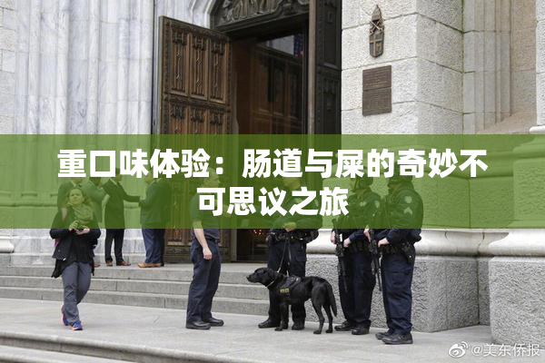 重口味体验：肠道与屎的奇妙不可思议之旅