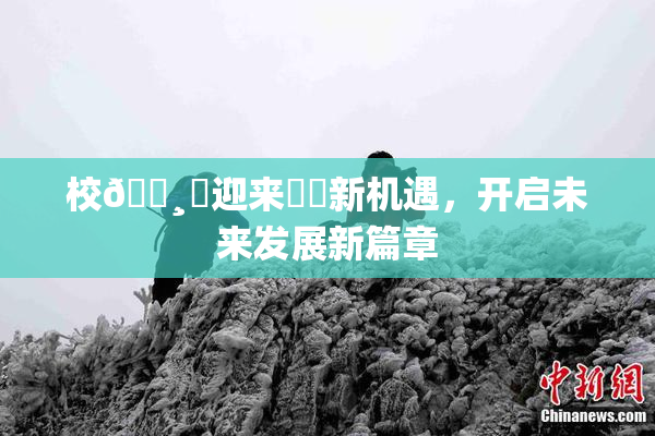 校🌸‌迎来❌‌新机遇，开启未来发展新篇章
