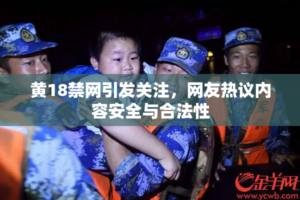 黄18禁网引发关注，网友热议内容安全与合法性