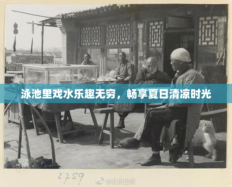 泳池里戏水乐趣无穷，畅享夏日清凉时光