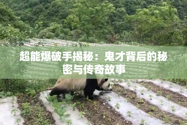 超能爆破手揭秘：鬼才背后的秘密与传奇故事