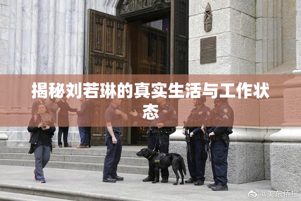 揭秘刘若琳的真实生活与工作状态